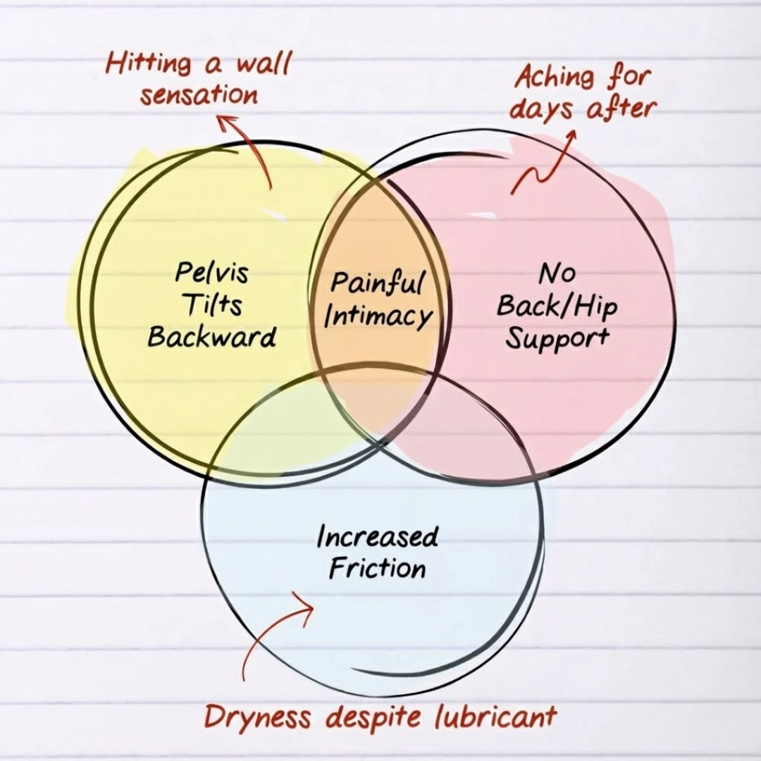 Diagram of overlapping pain points solved by the WildNightX Pillow