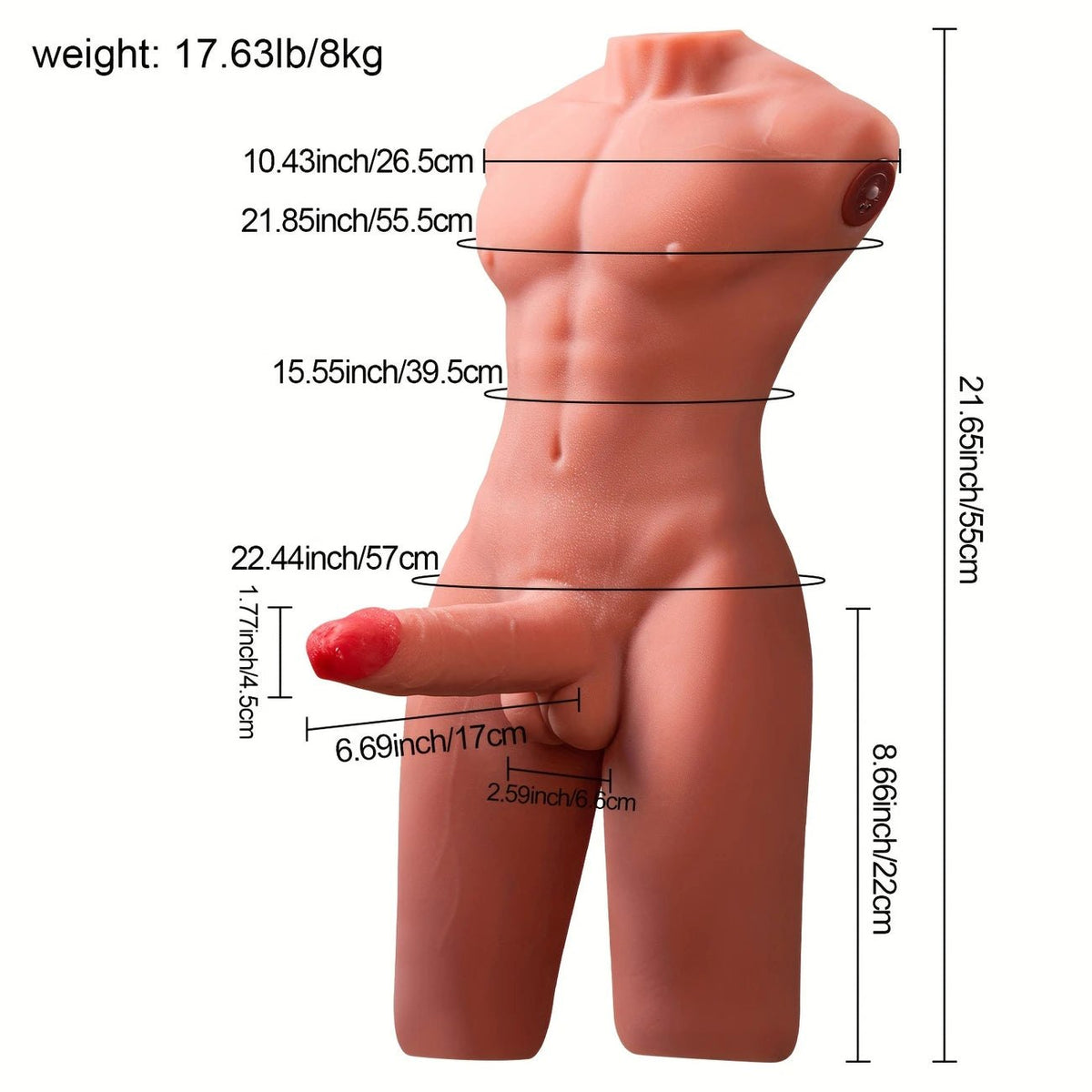 Flesh-colored male torso with thrusting dildo, photo 7