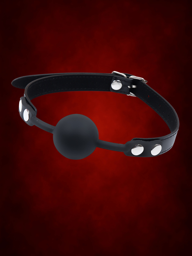 Ball Gag for couples bondage close-up detail – WildNightX
