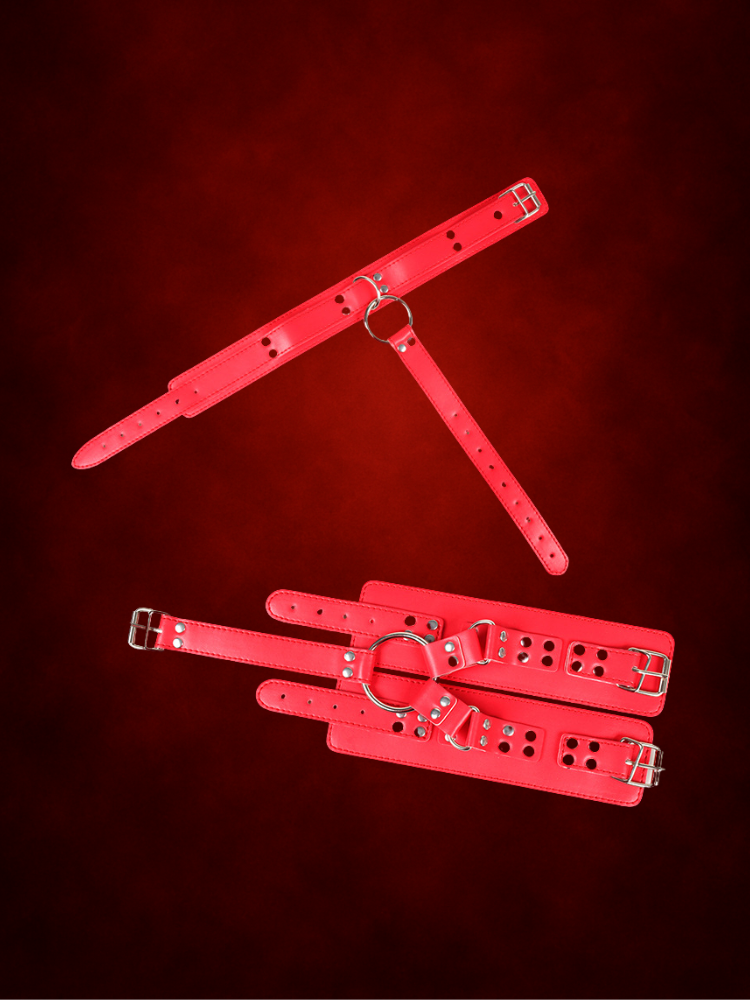 Leather Axis Kit bondage handcuffs and collar for couples view 11 – WildNightX