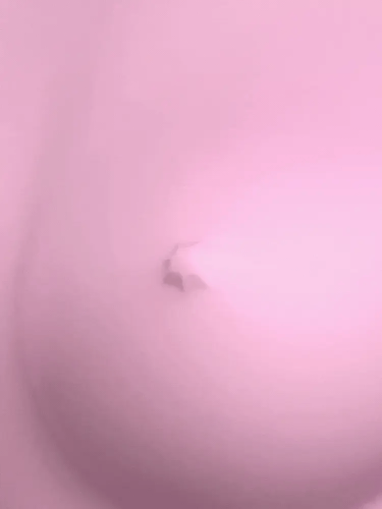 Pinch Clamp Vibrator