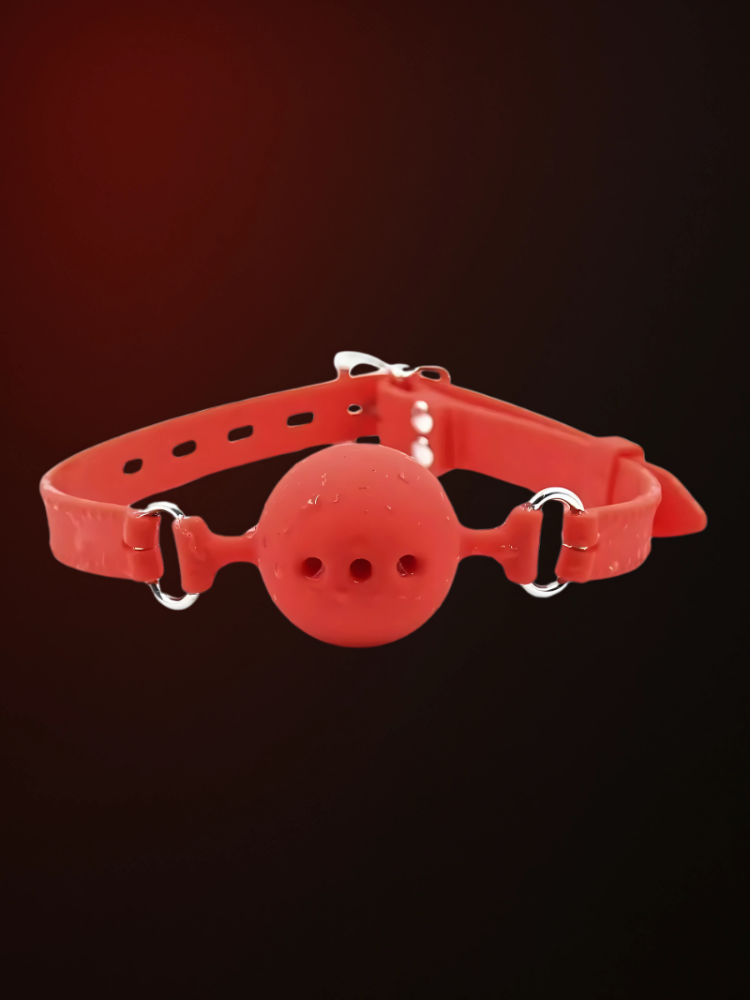 Silence Ball Gag