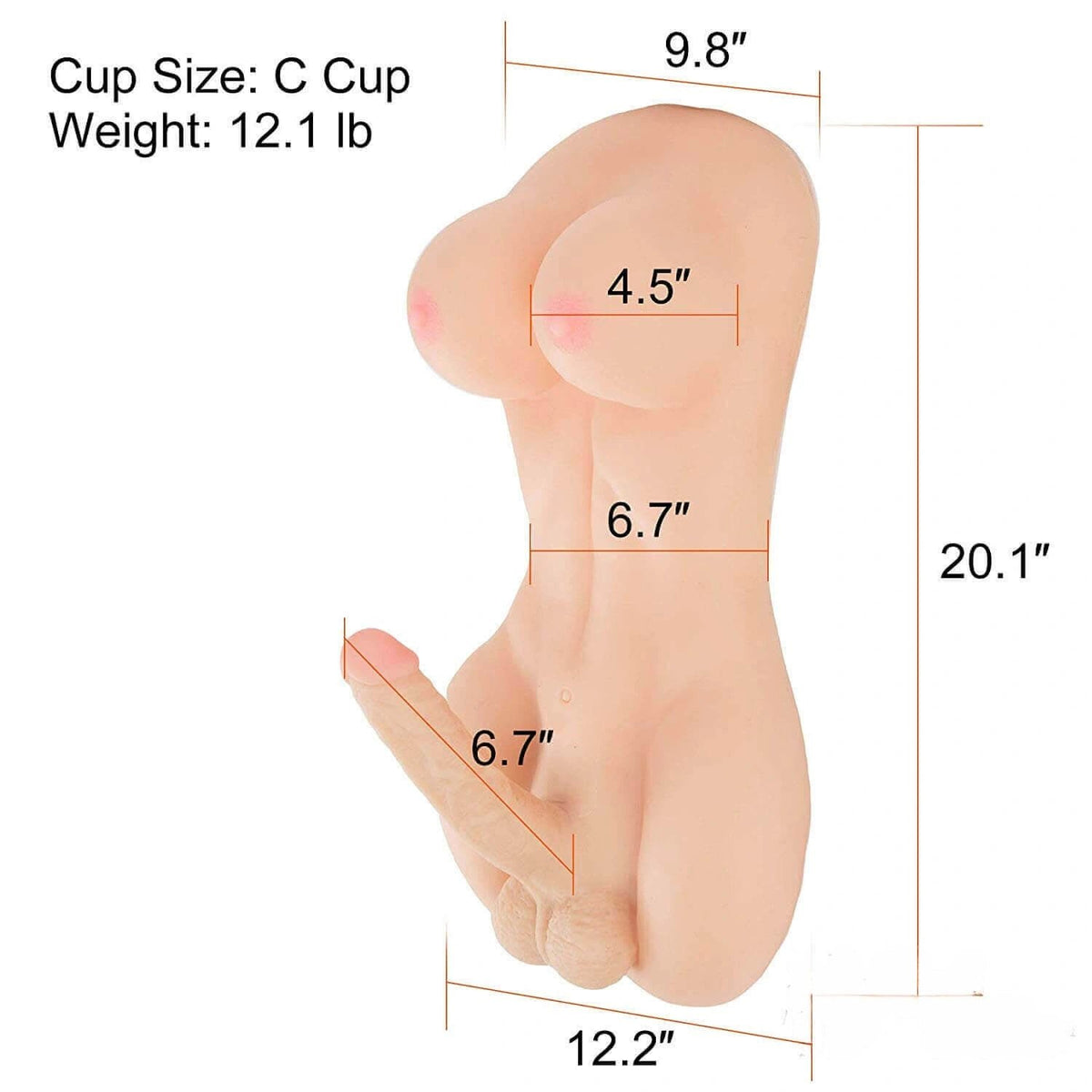 Torso doll with breasts and penis, photo 2