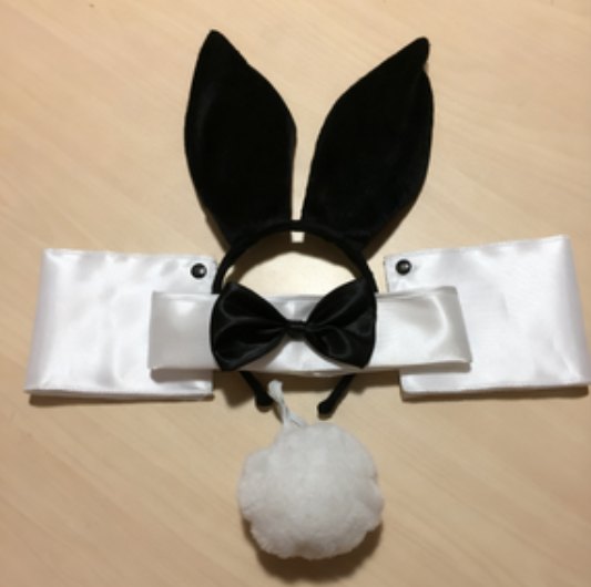 Bunny girl costume accessory set, photo 1