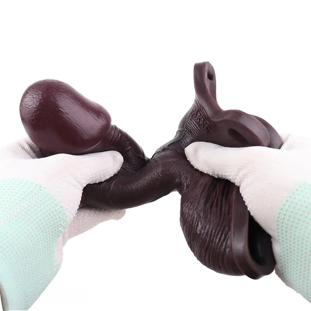 Coffee-colored hollow strap-on dildo with attached strap, photo 9
