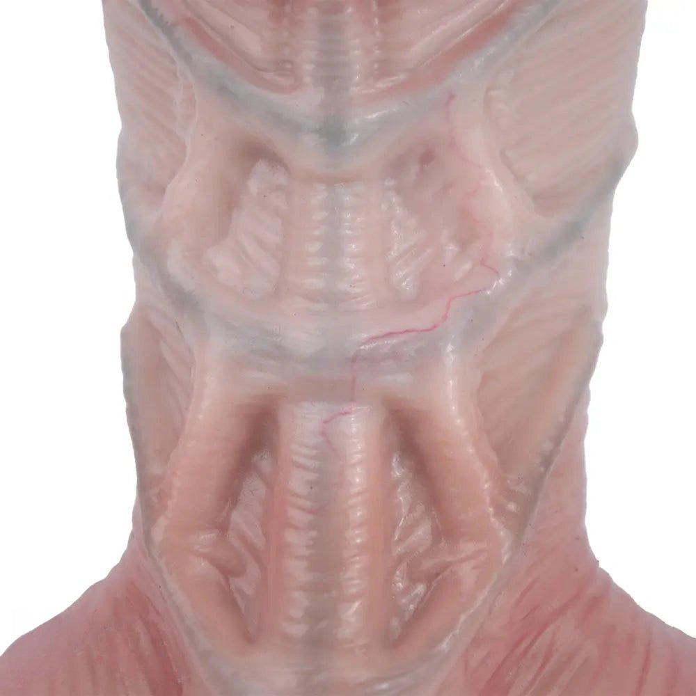 Flesh double layer big anal suction cup dildo, photo 9