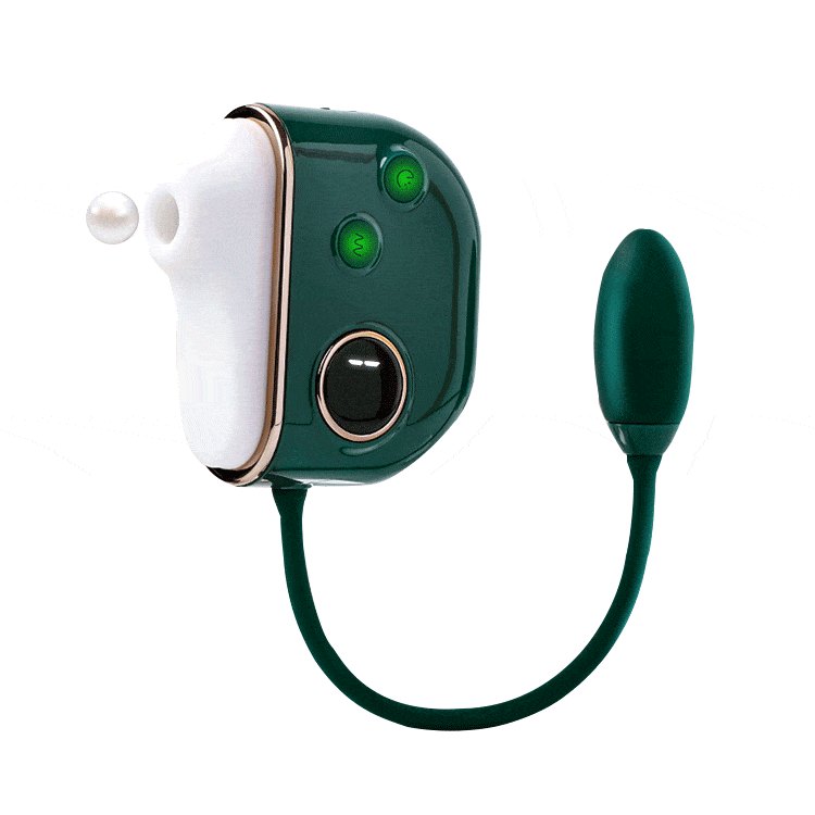 Suction vibrator with bullet egg attachment, photo 1