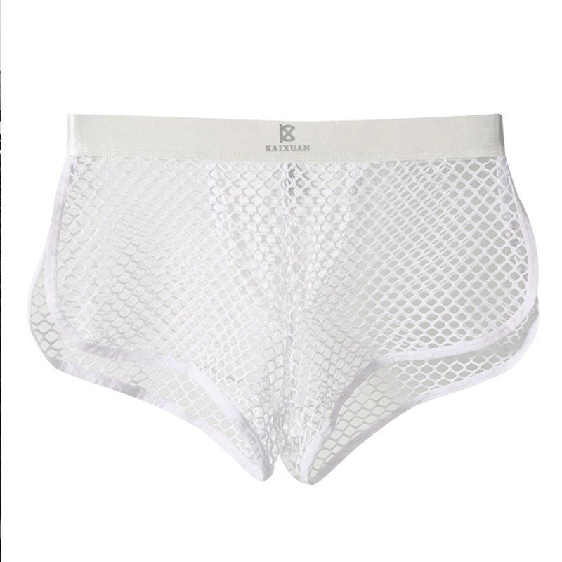 Mens fishnet see through boxer briefs, photo 5