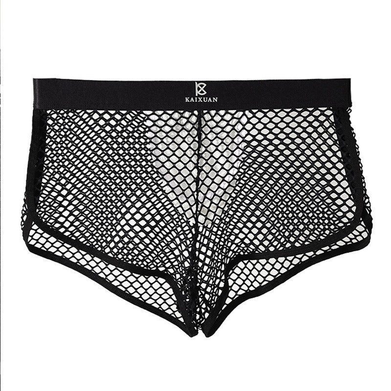 Mens fishnet see through boxer briefs, photo 7