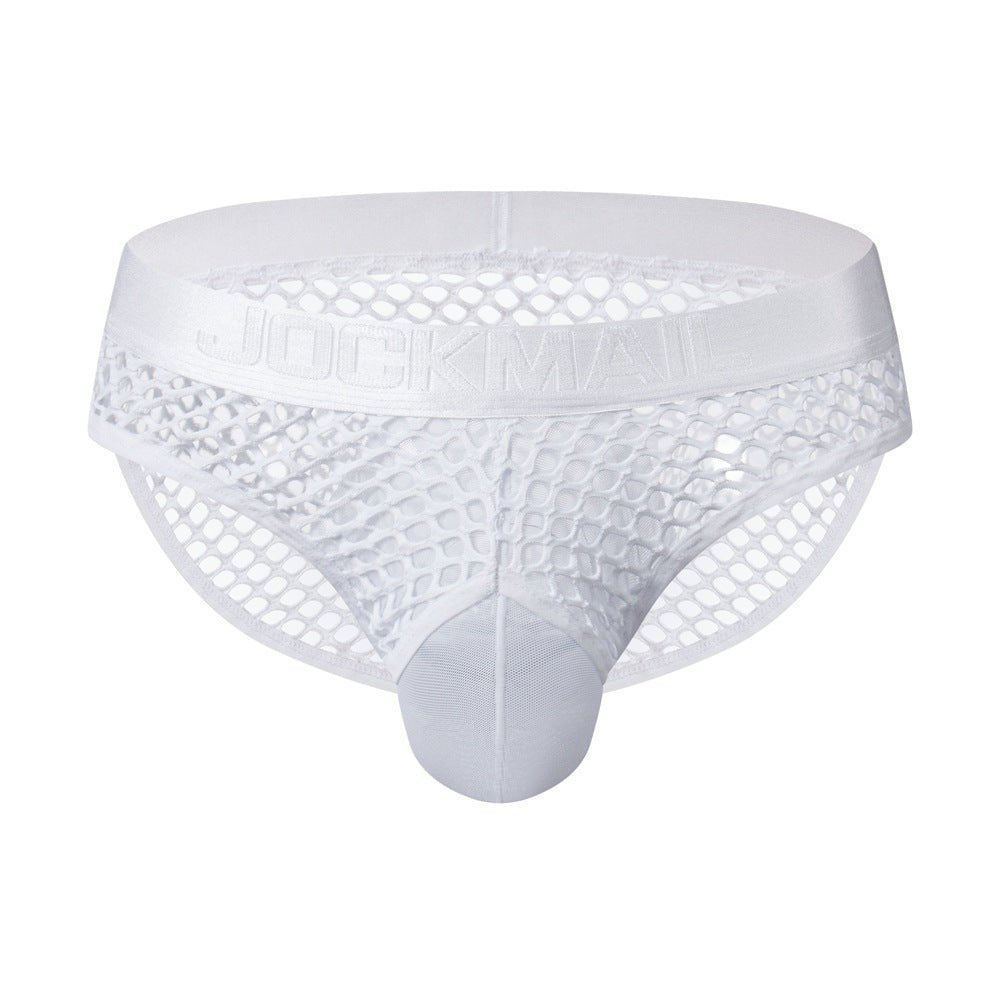 Mens fishnet mesh see through briefs, photo 6
