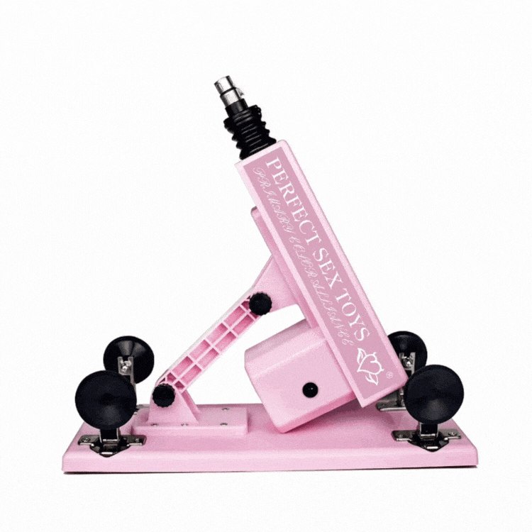 Modular thrusting sex machine, photo 1