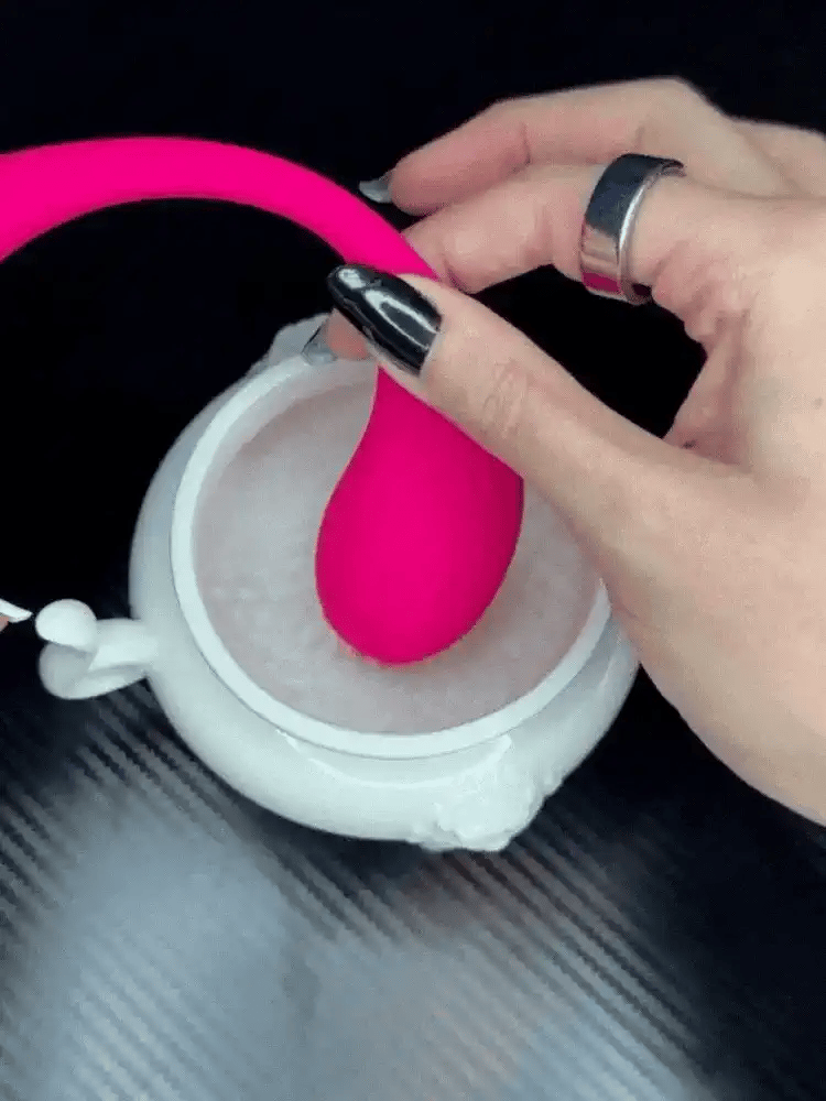 Egg Vibrator for women full set contents – WildNightX
