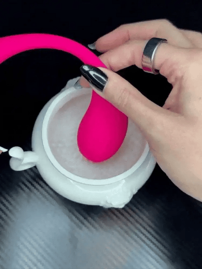 Egg Vibrator for women full set contents – WildNightX