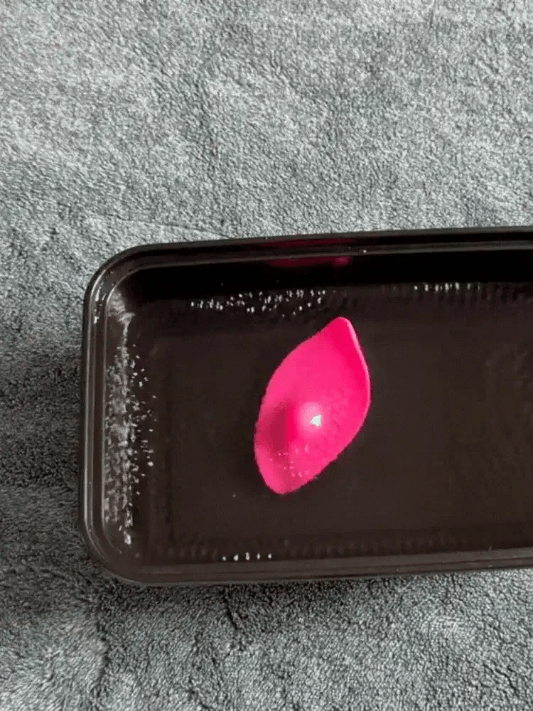 Soft Wing Vibrator for women packaging view – WildNightX