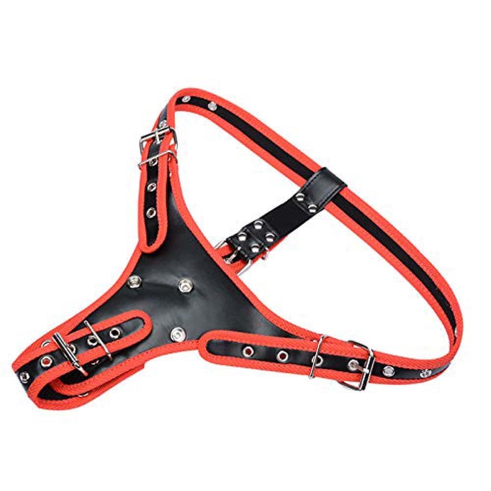 Black and red strap-on harness with dildo, photo 3