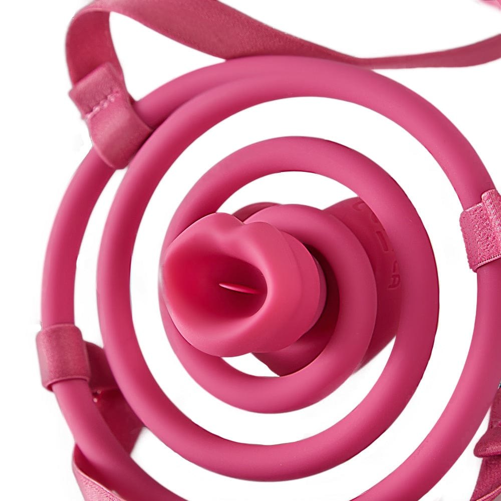 Wearable vibrating nipple clamp bra harness, photo 6