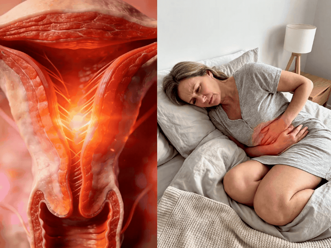 Diagram illustrating why sex hurts after 50 - vaginal tissue and pelvic changes
