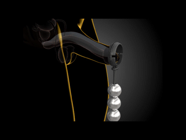 Titan Kegel Weight Trainer - how it works animation - WildNightX