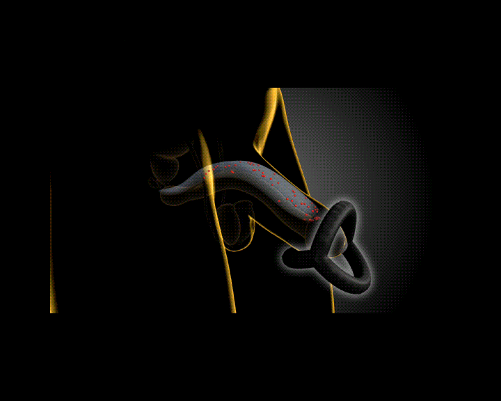 Triple Lock Stamina Ring - how it works animation - WildNightX